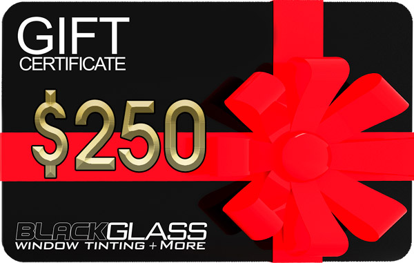 $250 Gift Certificate!